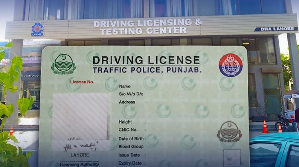 Driving License Check